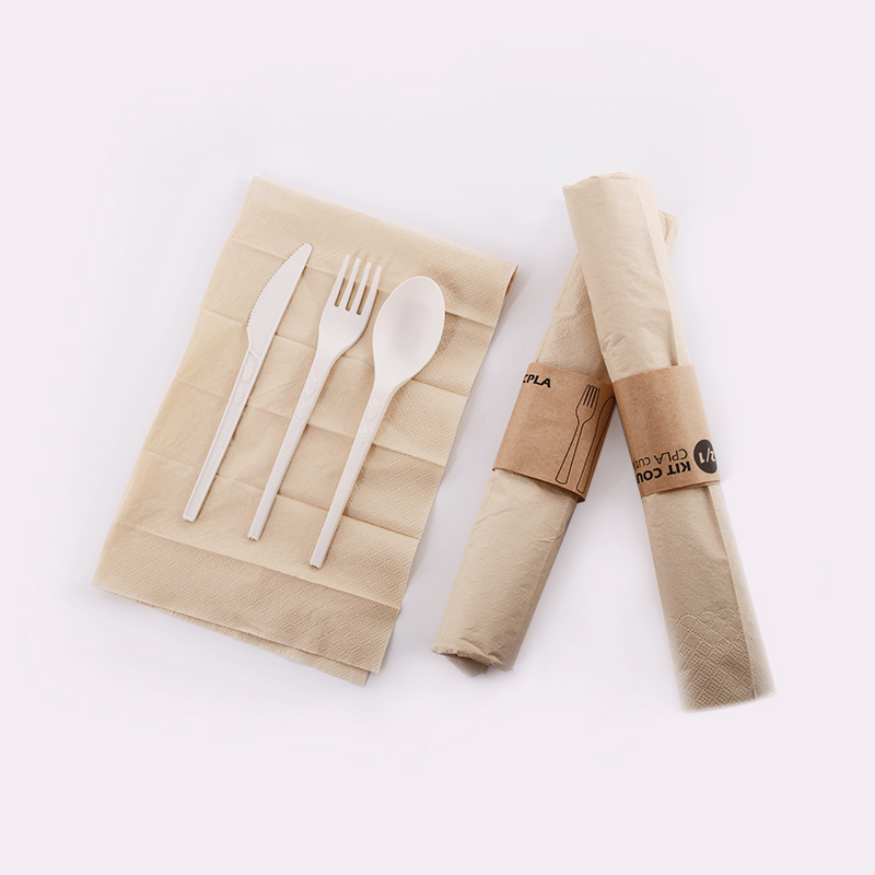 PLA biodegradable disposable cutlery spoon